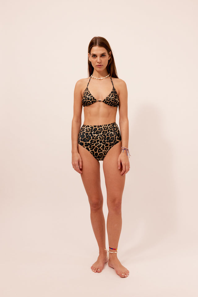 Amalfi Leopard Bikini Set