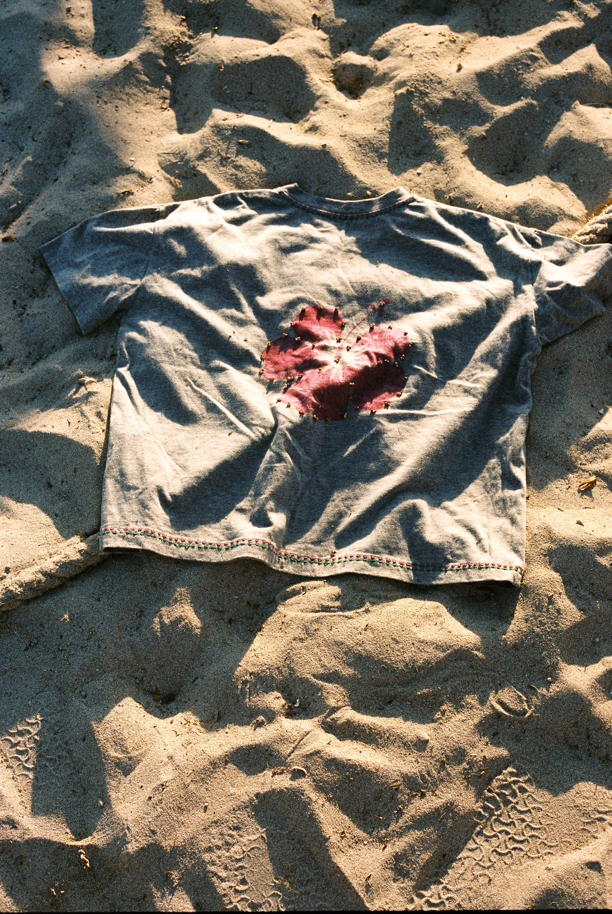 Alpha tee shirt